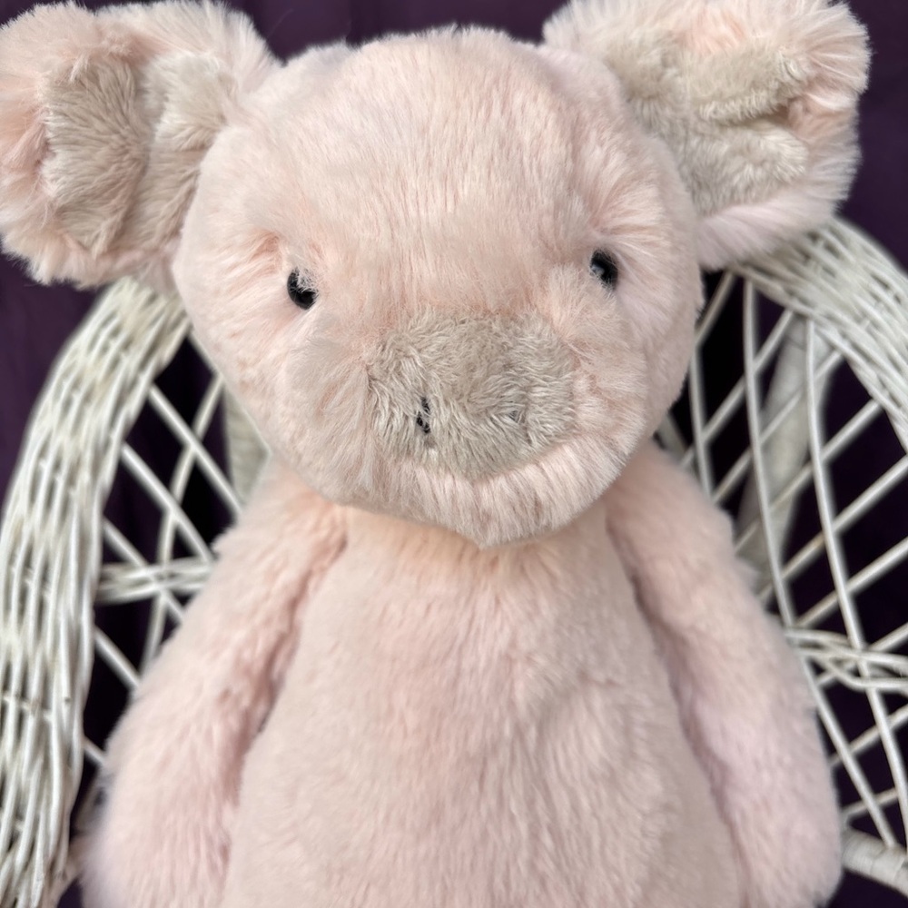 Jellycat BASHFUL PIG Plush Stuffed Toy Retired  pastel Pink - Picture 5 of 8